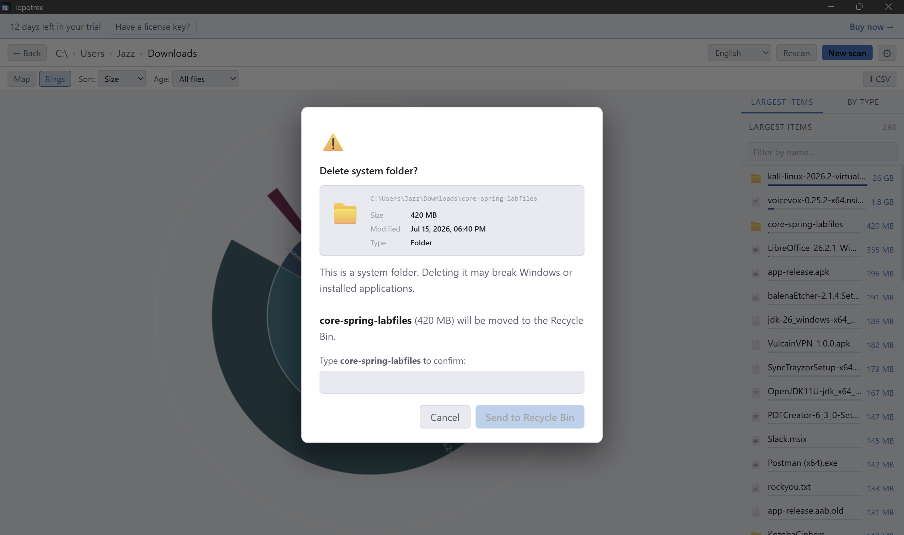Safe deletion with file preview